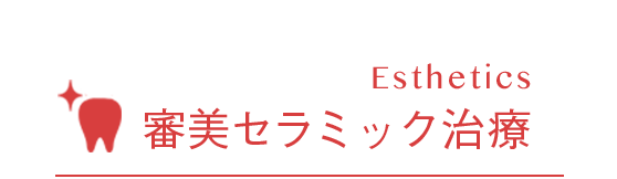 Esthetics 審美セラミック治療